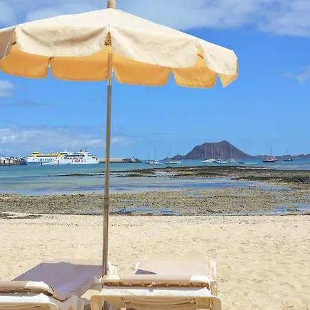 New - Amazing By The アパート *